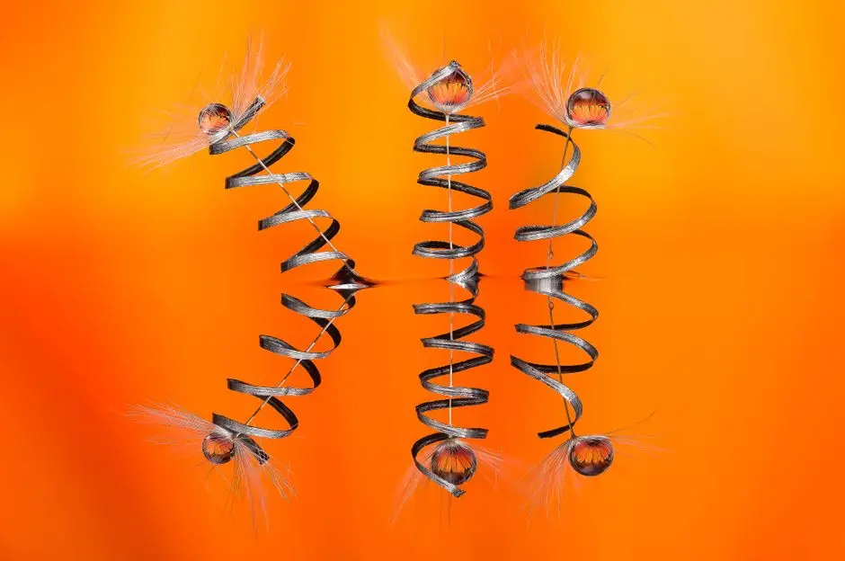 Histone Modifications: Orchestrating Chromatin Dynamics