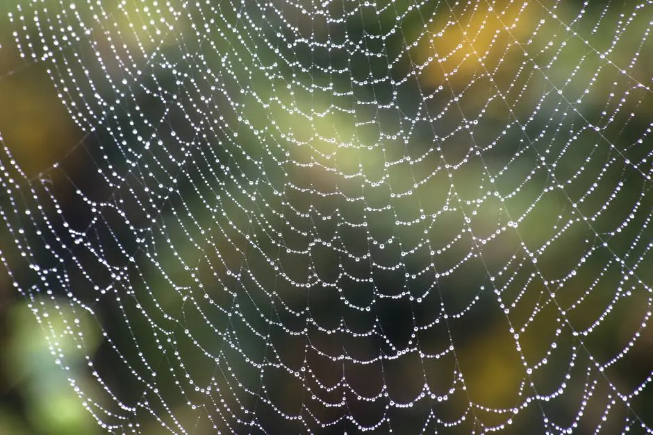 Unveiling Network Motifs: Logic Gates of Cellular Decisions