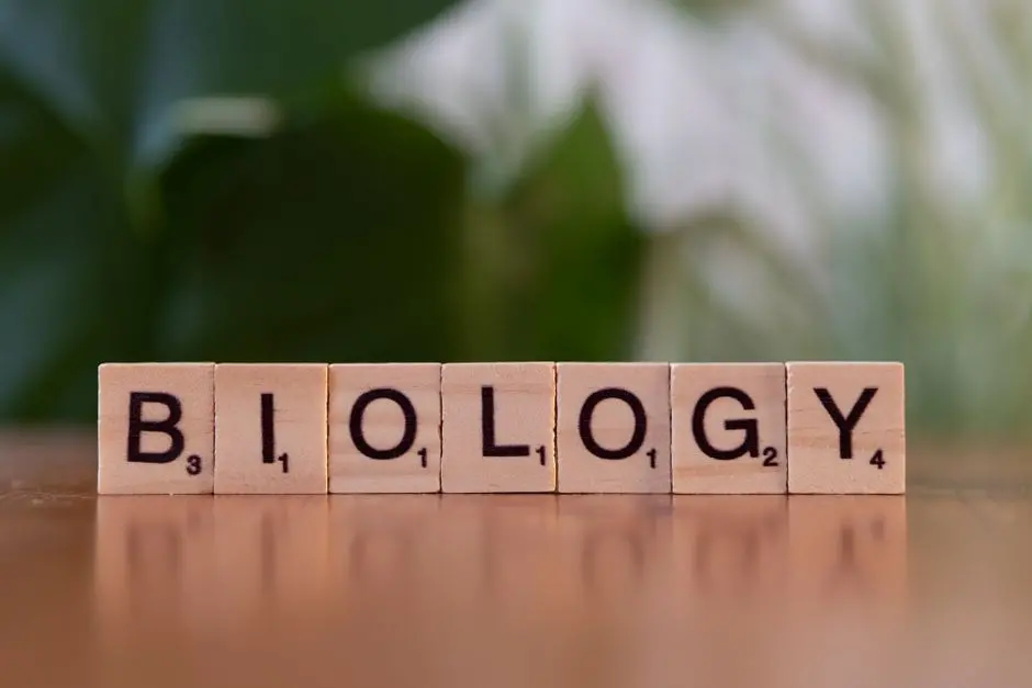 Architectural Precision: DNA Binding Domains and Sequence Recognition