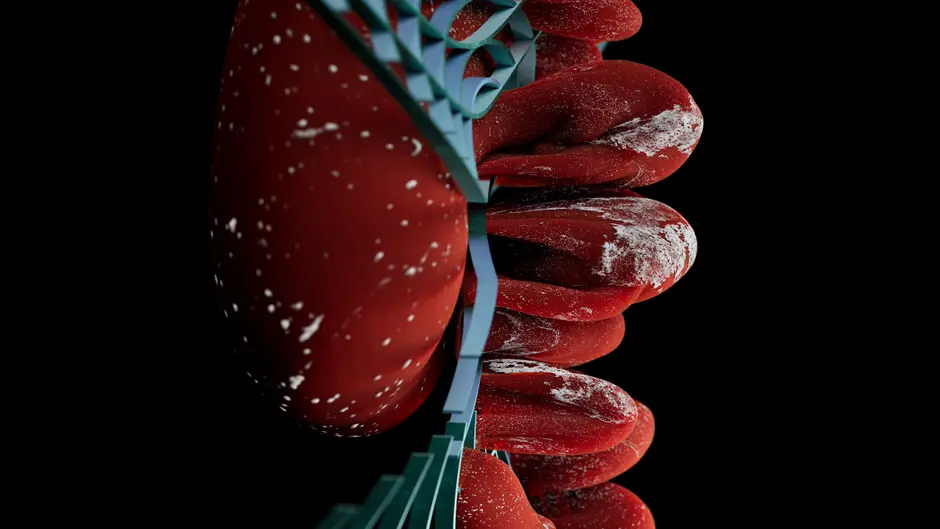 Orchestrating Expression: Chromatin and Epigenetic Modulations