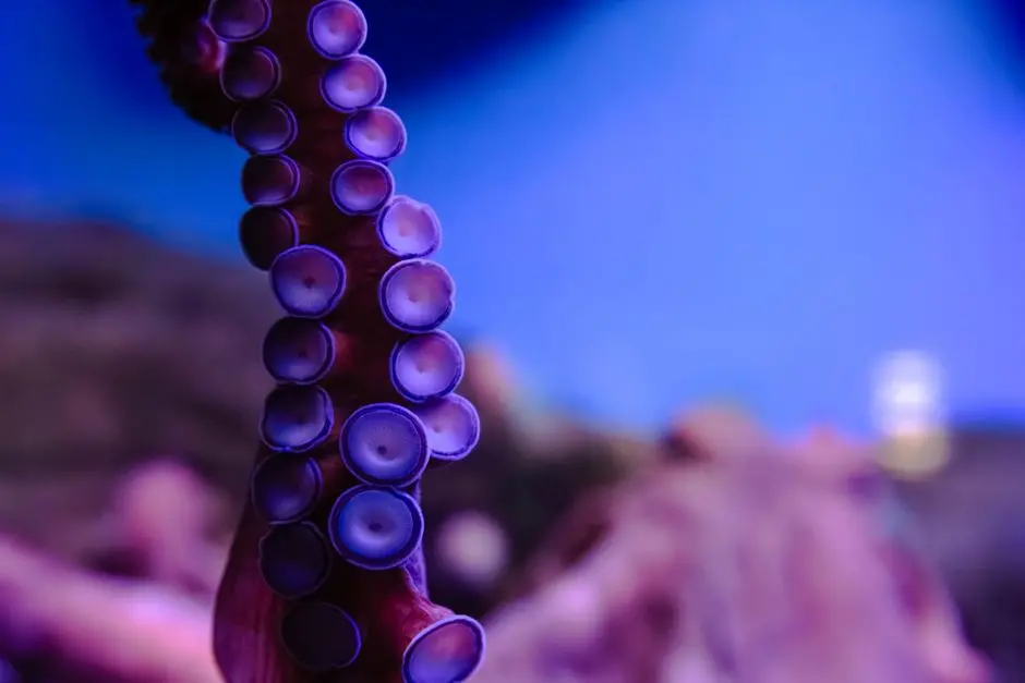 Genomic Context: Insulators, LCRs, and Chromatin Boundaries