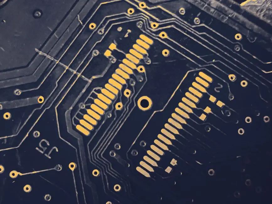 Advanced Insights: Orchestration, Plasticity, and Therapeutic Frontiers