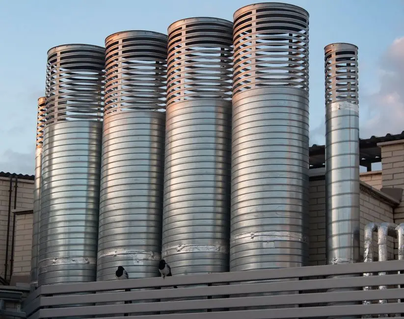 Silencers and Insulators: Guardians of Genomic Integrity