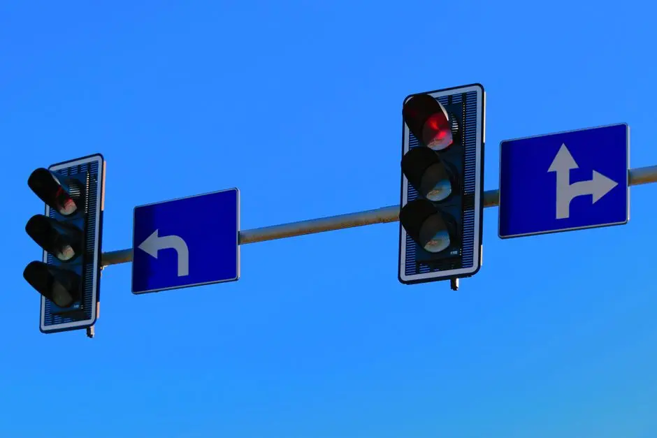 Decoding Specificity and Dynamics: Feedback Loops and Cross-Talk