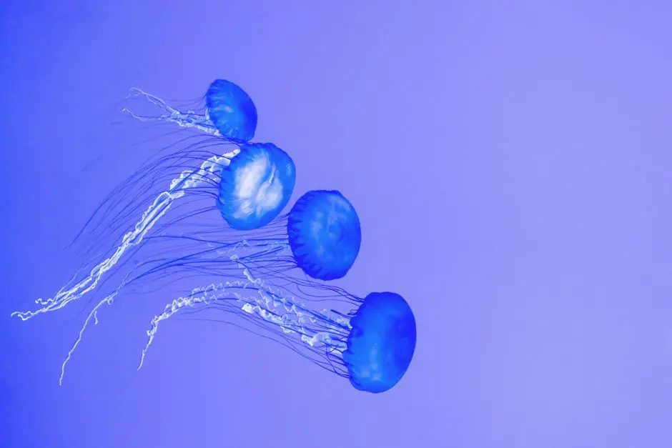Interventions & Innovations: Harnessing Epigenetic Control