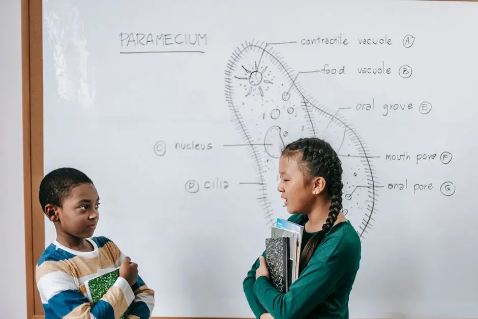 Predictive Power: Exploring Conformational Landscapes with Reinforcement Learning