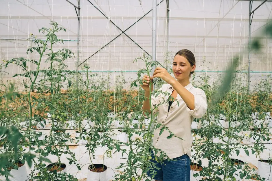 Ecological Stewardship & Agritech: Modeling Earth's Living Systems