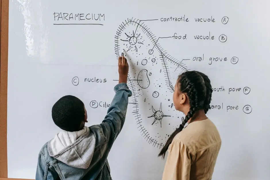 Overcoming Challenges and Forging Future Frontiers with ML in Simulations