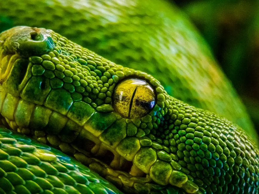 Laying the Foundations: Python as Your Gateway to Biological Data