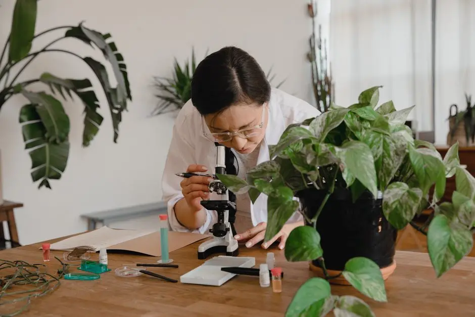 Laying the Foundation: Understanding Phylogenetic Inference Methods