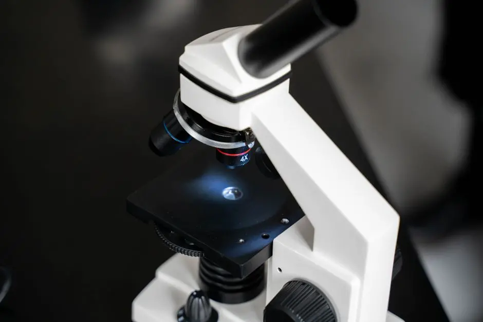 The Strategic Imperative of Open Source in Bioinformatics