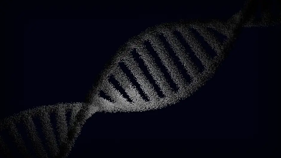 Master Command Line Tools for Bioinformatics