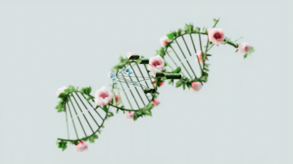 Unleash Bioinformatics: Software Ecosystems Fueling Research