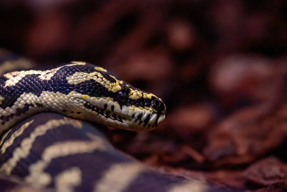 Engineer Biological Discovery: Automating Sequence Analysis with Python