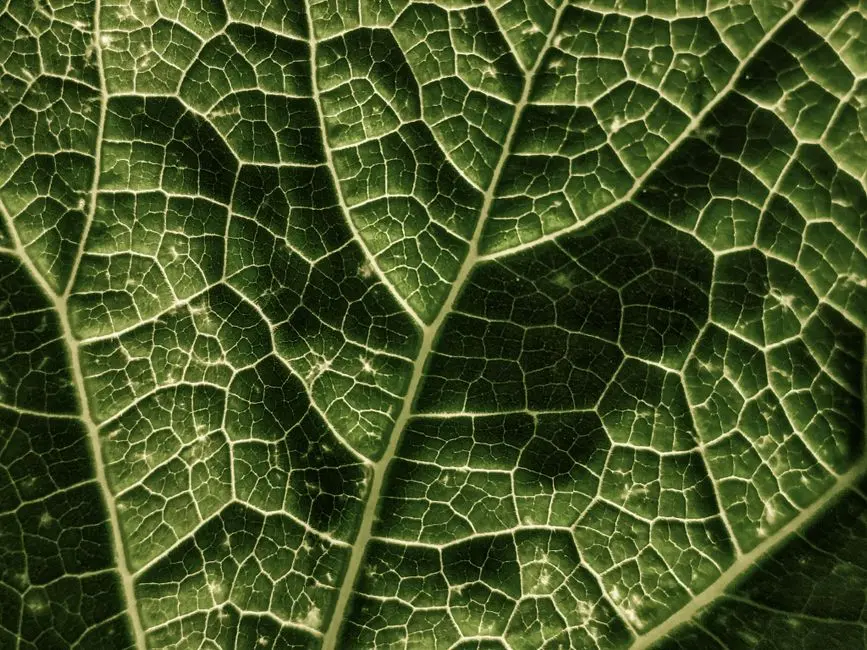 Mastering Genetic Inheritance: Diverse Patterns Unveiled
