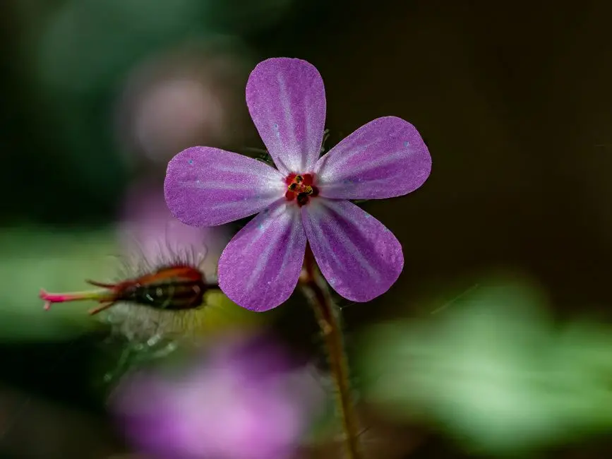 The Microscopic Revelation: Early Pioneers and Their Lenses