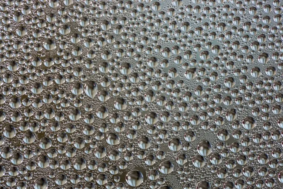 Chromosomal Architects: Condensation and Organelle Duplication