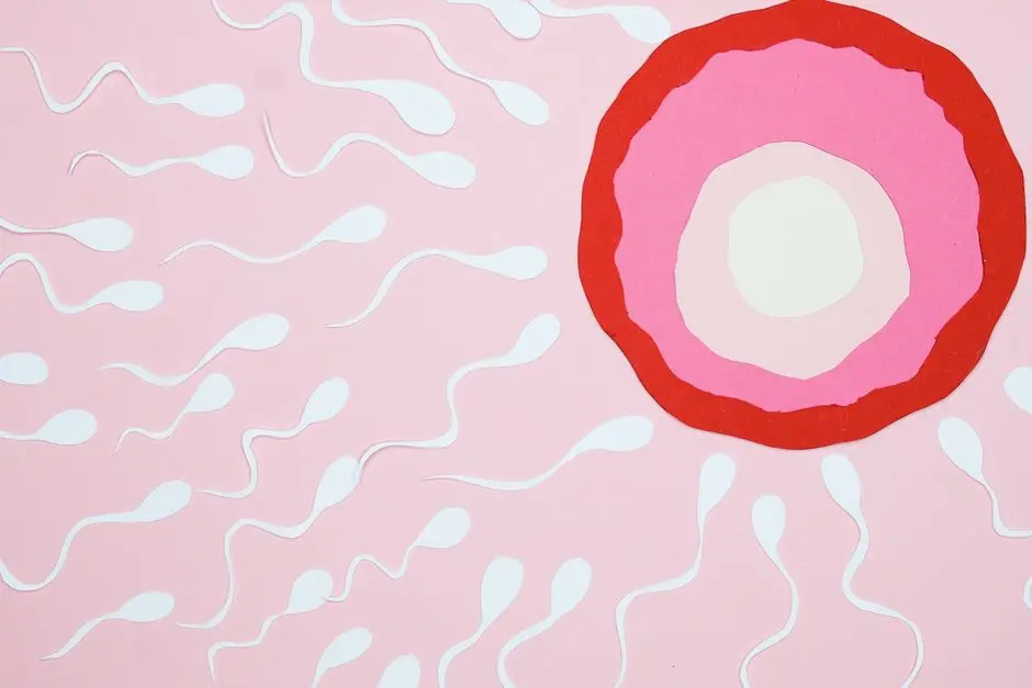 The Union of Heredity: Gamete Formation and Fertilization