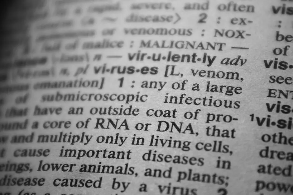 Decoding Life's Blueprint: The Essential Roles of mRNA, tRNA, and rRNA