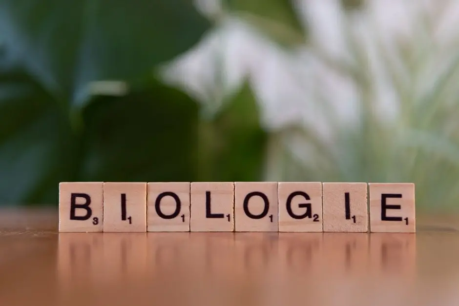 Transfer RNA (tRNA): The Molecular Translator