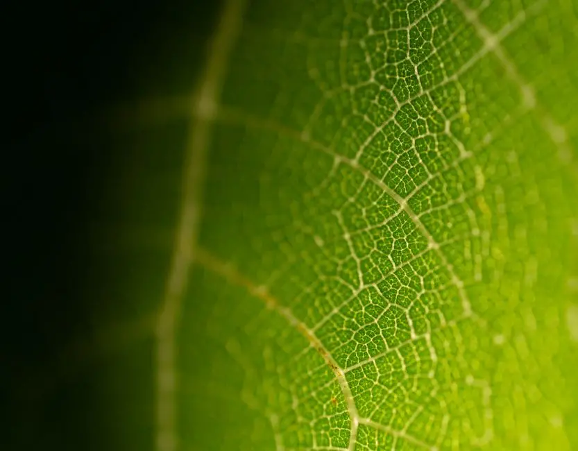 Beyond Mendel: Exploring Complex Inheritance Patterns
