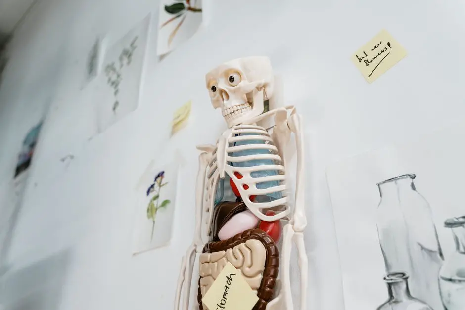 Biological Impact and Clinical Relevance: Life's Molecular Engine