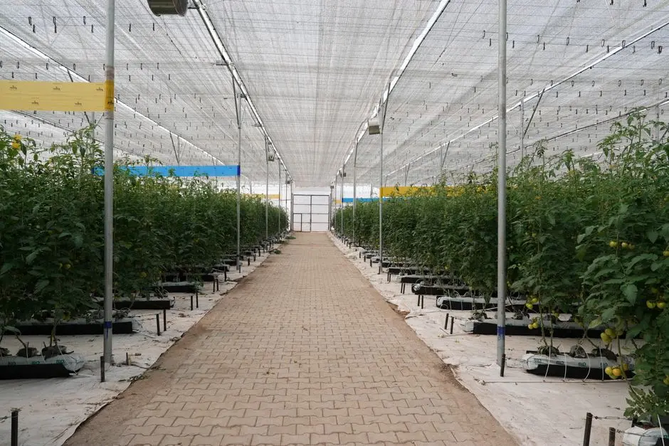 Optimize for Production & Integrate into Bio-Pipelines