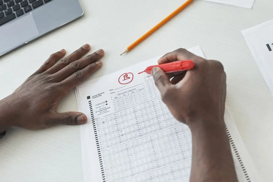 Optimize Inference: Interpretation, Visualization, and Robustness