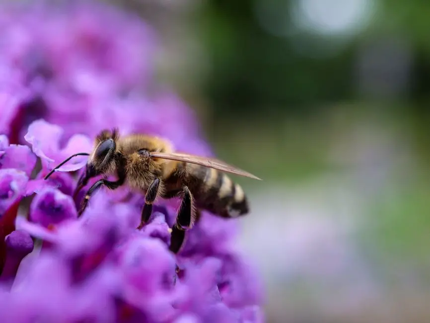 Engineer Secure Vector Search APIs in Python: Biology's Data Fortress