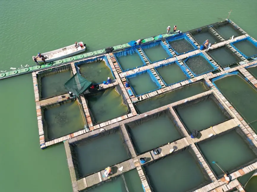 Optimizing Ecosystems: Resource Management and Cost Efficiency Unlocked