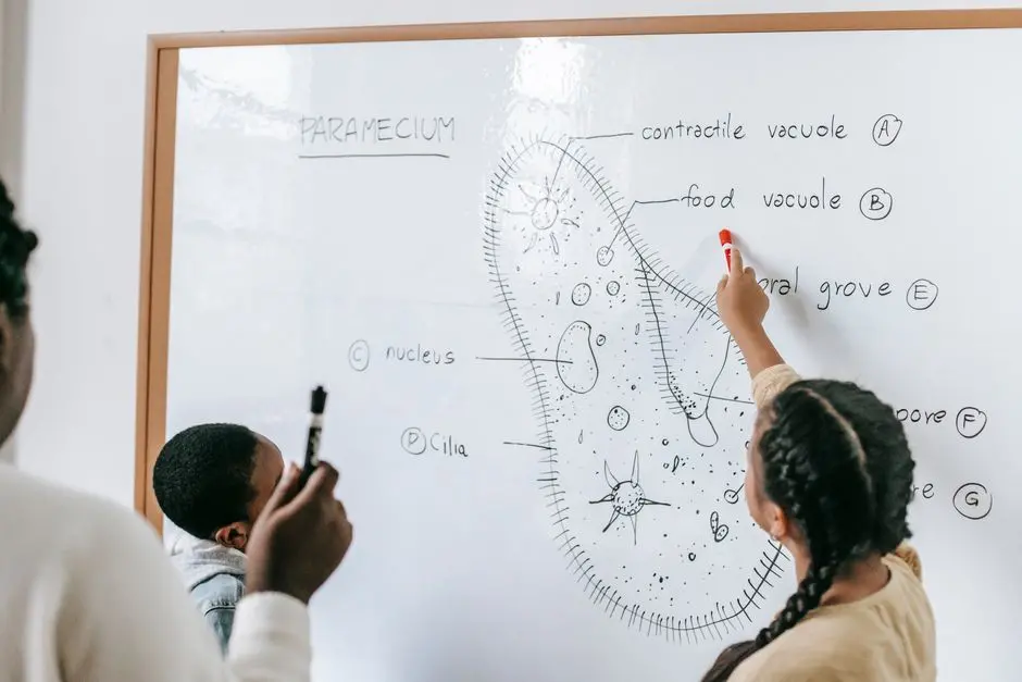 Forge Clarity: Best Charts for Biological Data Analysis