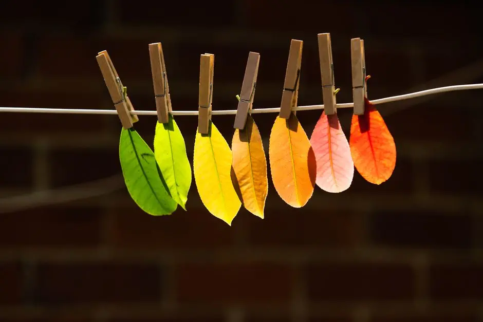 Dissecting Phenotypic and Multi-Omic Variation with Precision