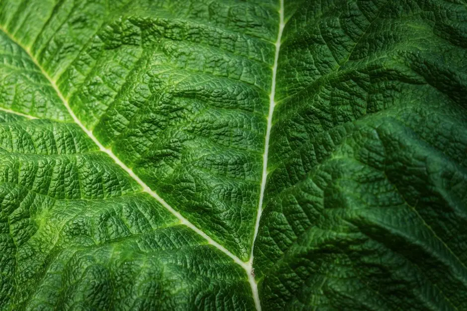 Deciphering Function: From Variants to Biological Mechanisms