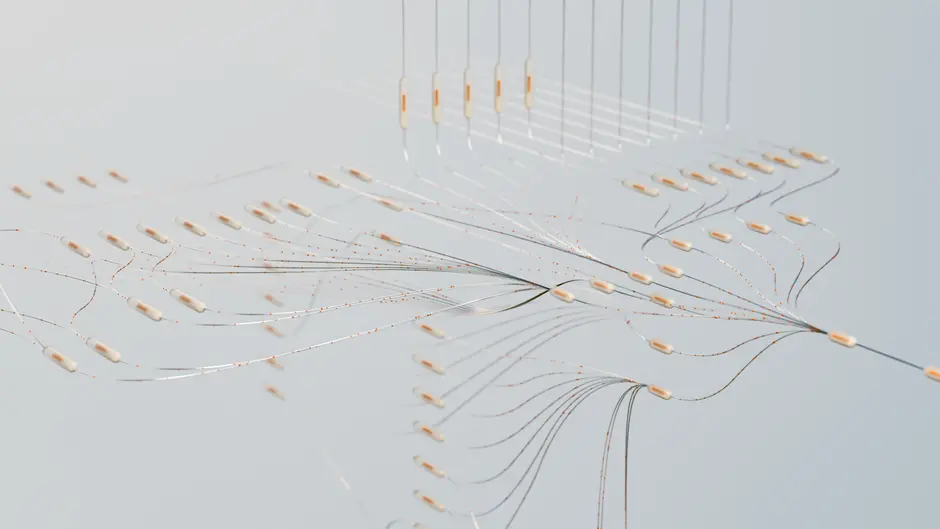 Architecting Networks: Core Principles of Layout and Representation
