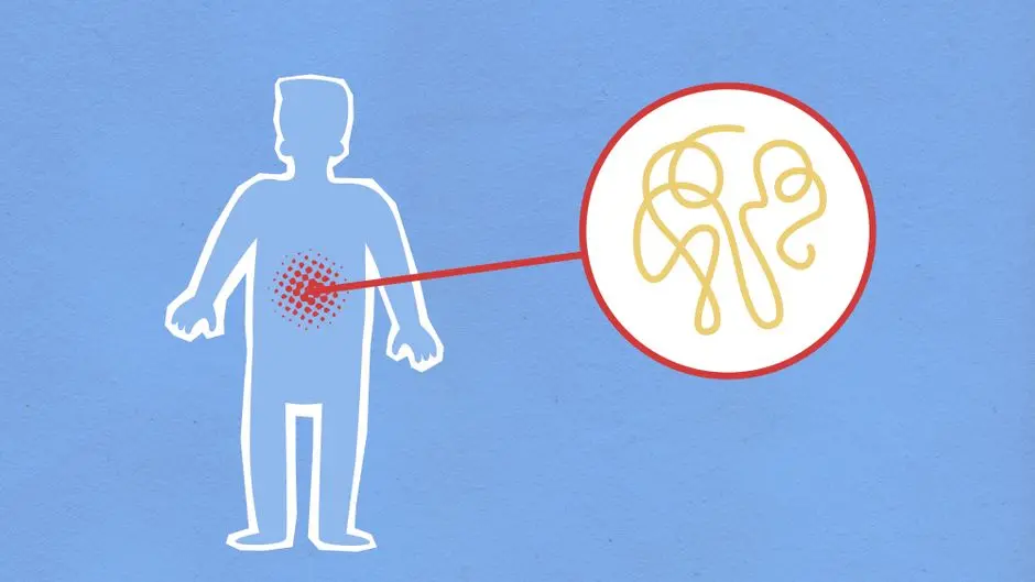 Practical Applications: Driving Biomedical Innovation
