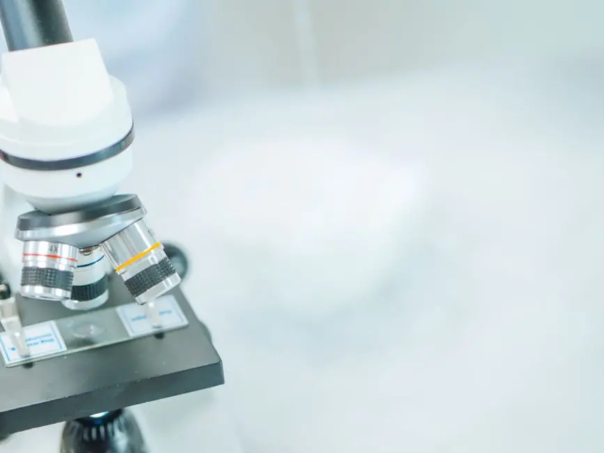 Maîtriser les Techniques Fondamentales de Microscopie Optique