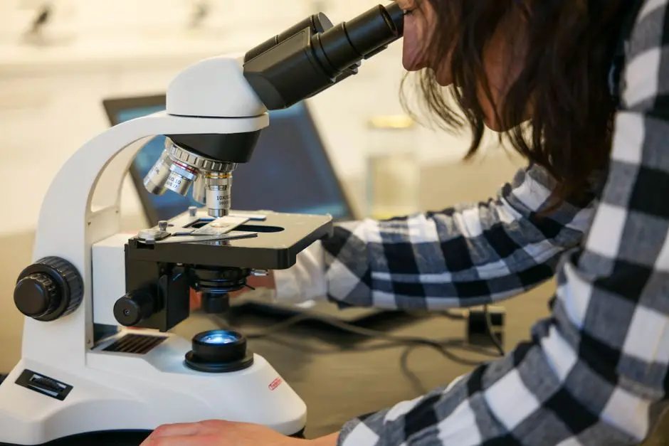 Quantifier les Processus Biologiques : Analyse d'Image et Interprétation des Données