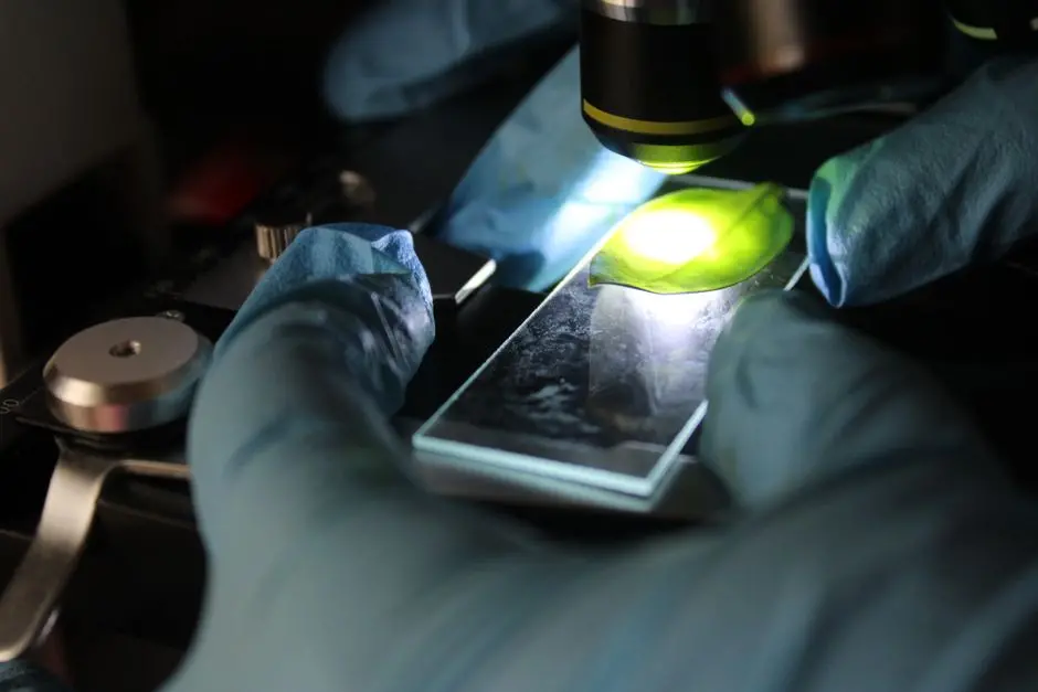 Unlocking Cellular Secrets: Advanced Fluorescence Biomolecule Imaging