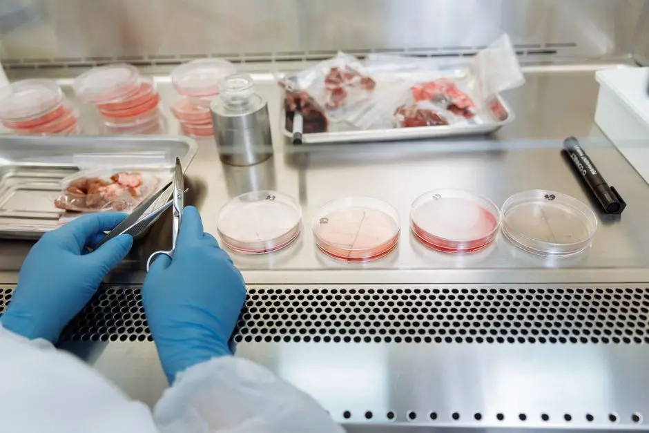 Forge Reliable Biological Experiments: Master Design Principles