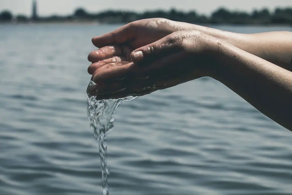 The Unseen Architect: Water Quality and Contamination Control