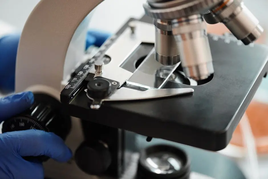 Unleashing Unprecedented Efficiency and Throughput