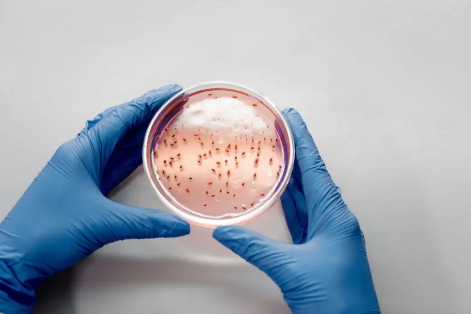 Integrating Contextual Biology: From Bench to Bedside Relevance