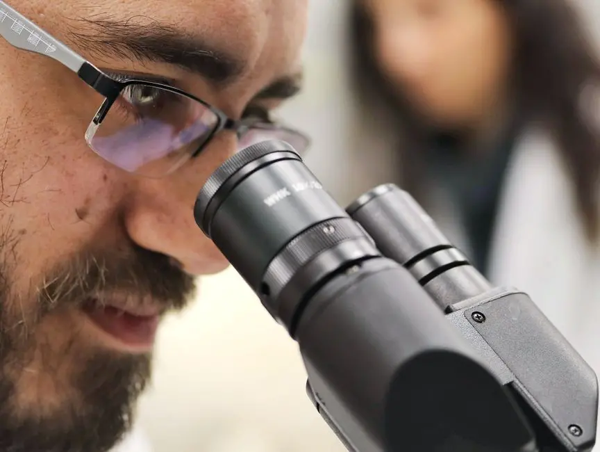 Bridging the Divide: Translating In Vitro/In Vivo to Clinical Promise