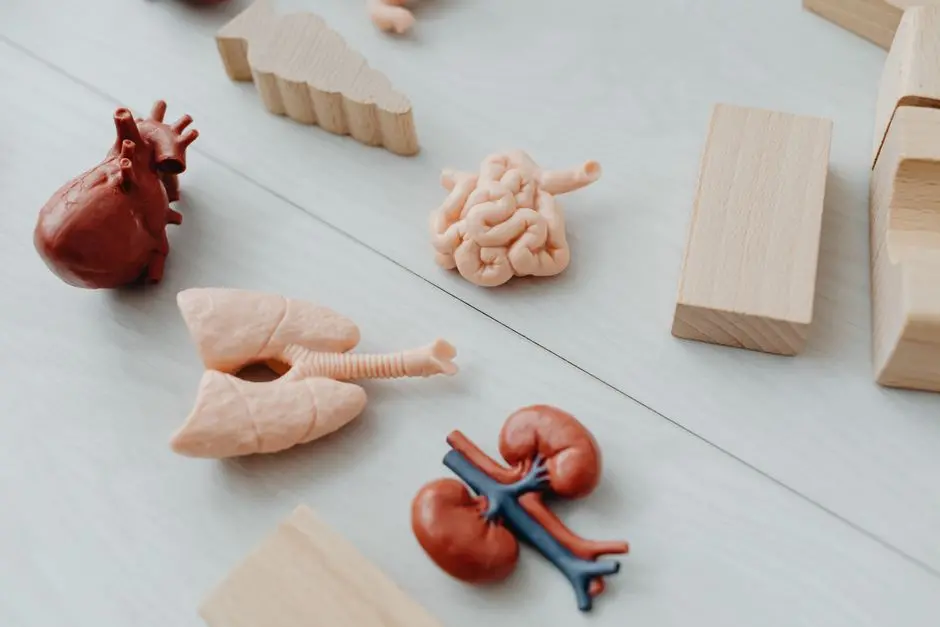 Pioneering Technologies Redefining Biomedical Research