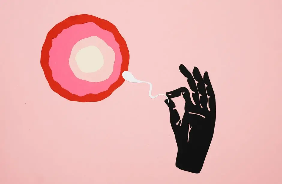 Reproductive Futures: Ethical Contours of New Beginnings
