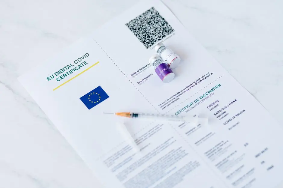 Pioneering Regulatory Frameworks: EU and North American Models