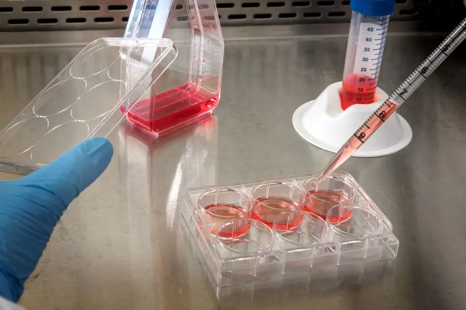 Forge Scientific Integrity: Proactive Measures Against Misconduct in Laboratories