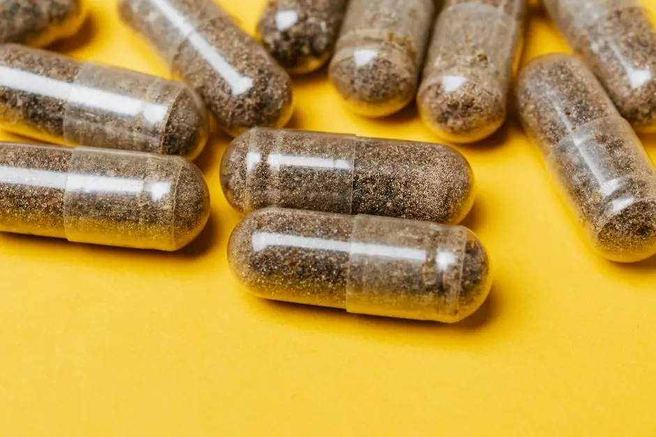 Advanced Non-Animal Models and Emerging Technologies: Diversifying Our Arsenal