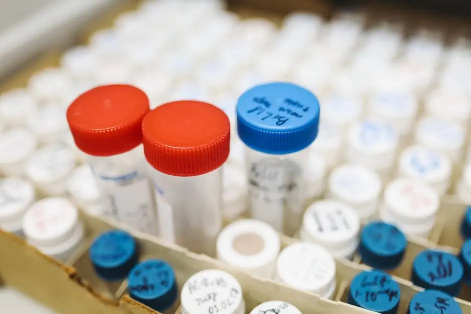 Codifying Ethics: Landmark Regulatory Frameworks Shaping Research