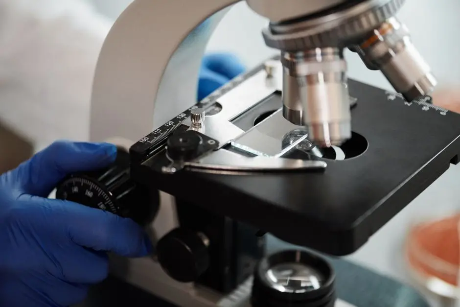 Forge Ethical Frontiers: Bioethics in Biomedical Research